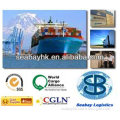reliable shipping service/company/forwarding agent from China Shenzhen to Marseille